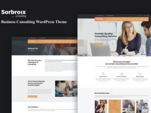 sorbroix-business-consulting-wordpress-theme-2