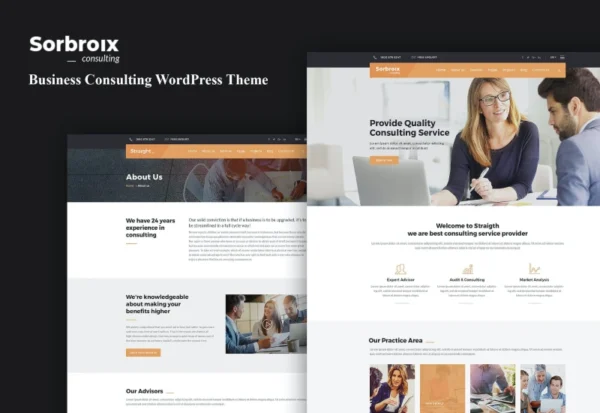 sorbroix-business-consulting-wordpress-theme-2