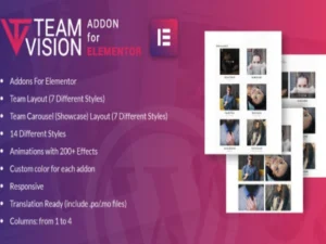 teamvision-elementor-wordpress-plugin