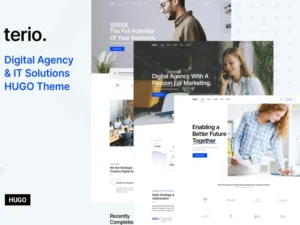 terio-digital-agency-it-services-hugo-theme