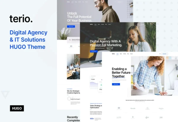 terio-digital-agency-it-services-hugo-theme