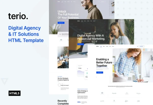 terio-digital-agency-it-services-template