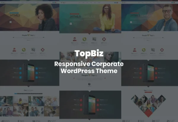 topbiz-responsive-corporate-wordpress-theme