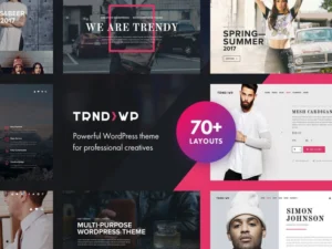 trendy-creative-multi-purpose-wordpress-theme