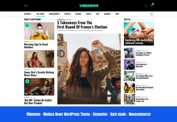 vibenews-digital-news-magazine-amp-theme-2