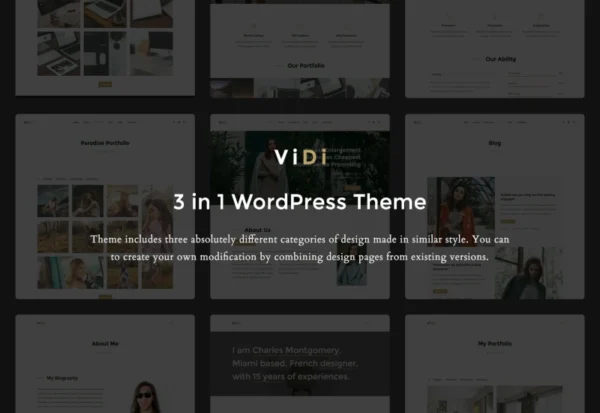 vidi-3-in-1-creative-wordpress-theme