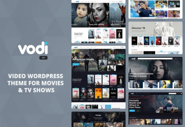 vodi-video-wordpress-theme-for-movies-tv-shows