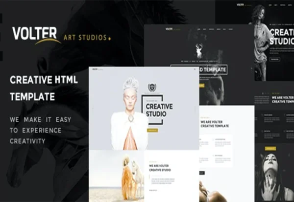 volter-creative-multipurpose-template-2