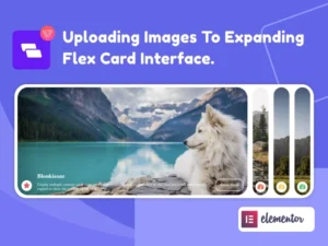 wiloke-expanding-flex-cards-elementor-addon-2