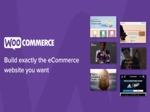 woocommerce-gravity-forms-product-add-ons